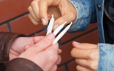 Daily Marijuana Use Among College-Age Adults At Its Highest